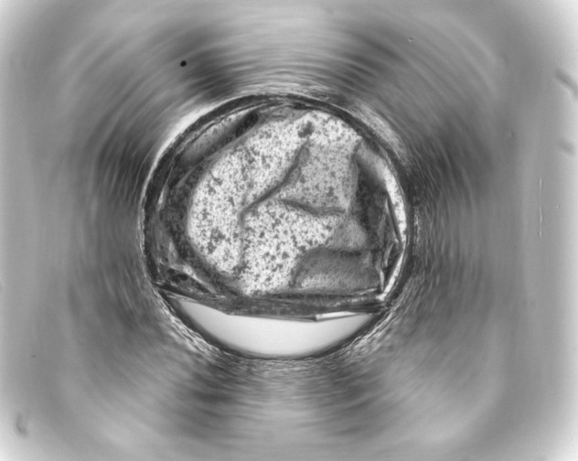 X0000093171020200710241035