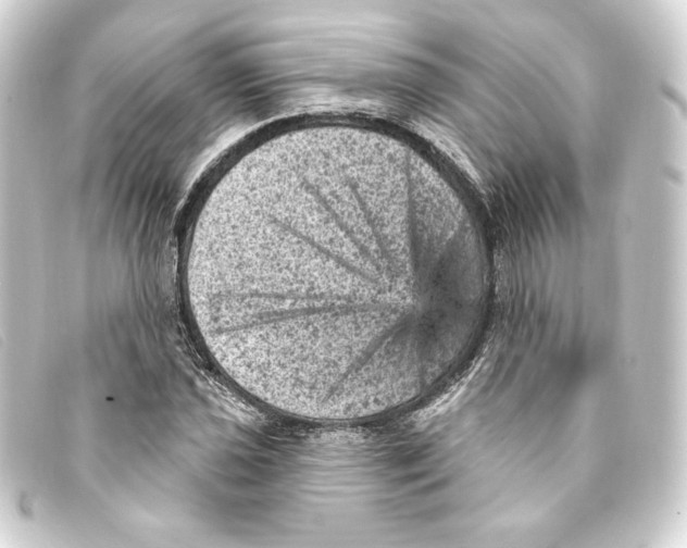 X0000093171021200710241035