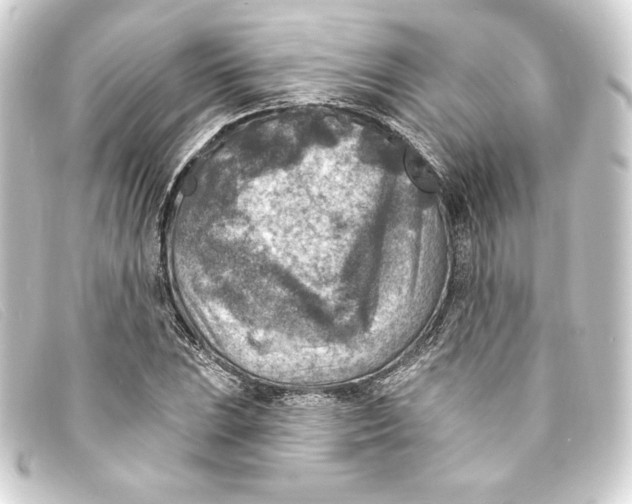 X0000093171023200710241035