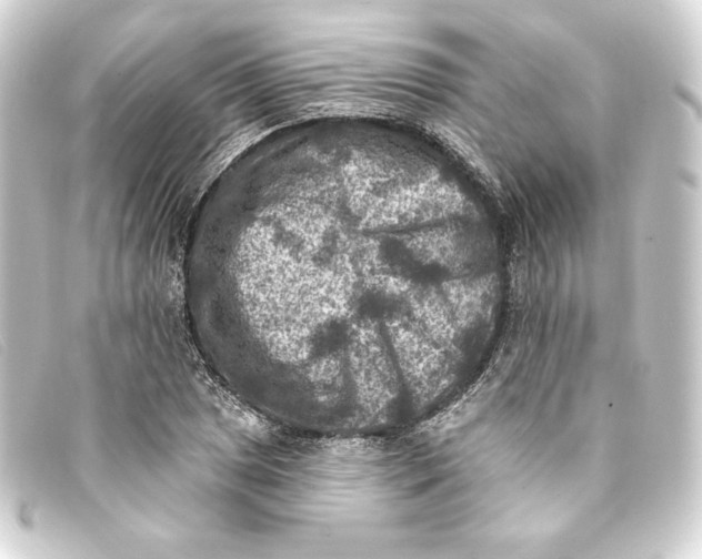 X0000093171025200710241035