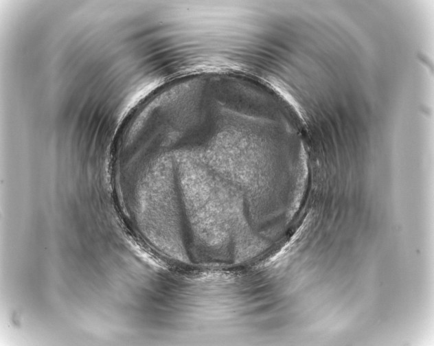 X0000093171026200710241035