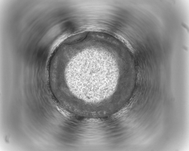 X0000093171027200710241035