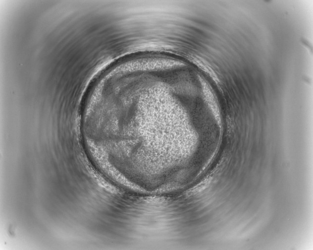 X0000093171029200710241035