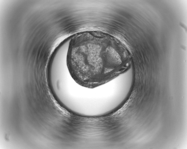 X0000093171030200710241035