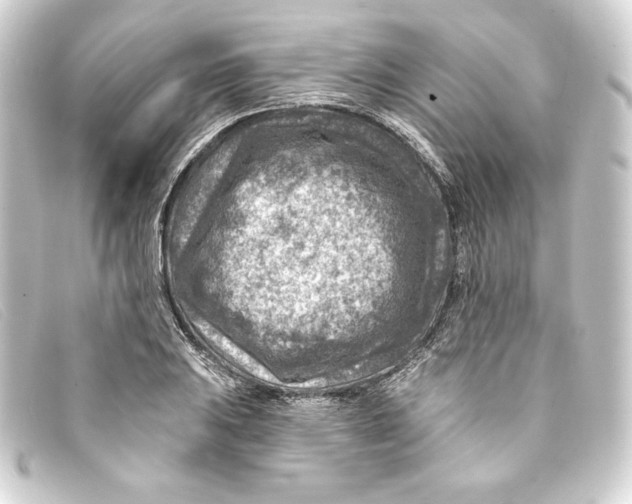 X0000093171031200710241035