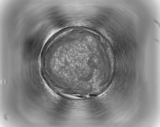 X0000093171032200710241035