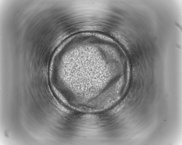 X0000093171033200710241035