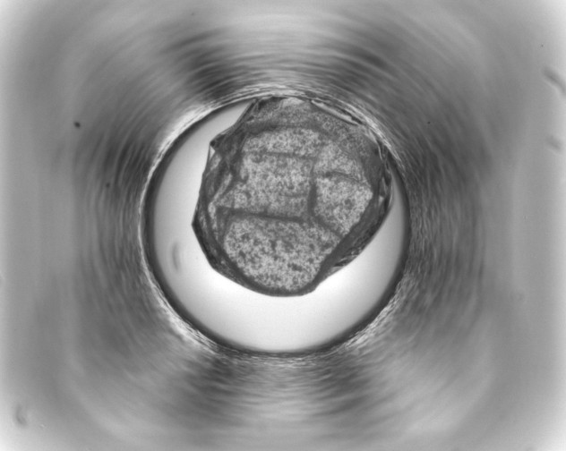 X0000093171034200710241035