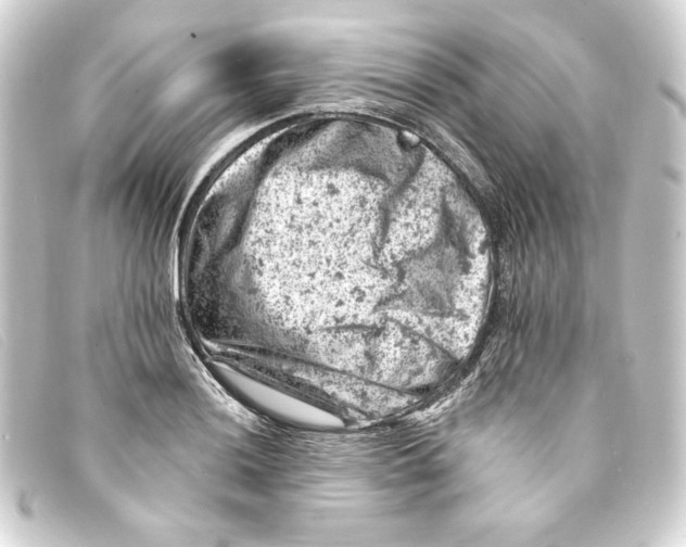 X0000093171036200710241035