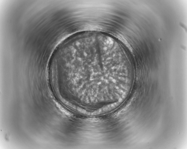 X0000093171037200710241035