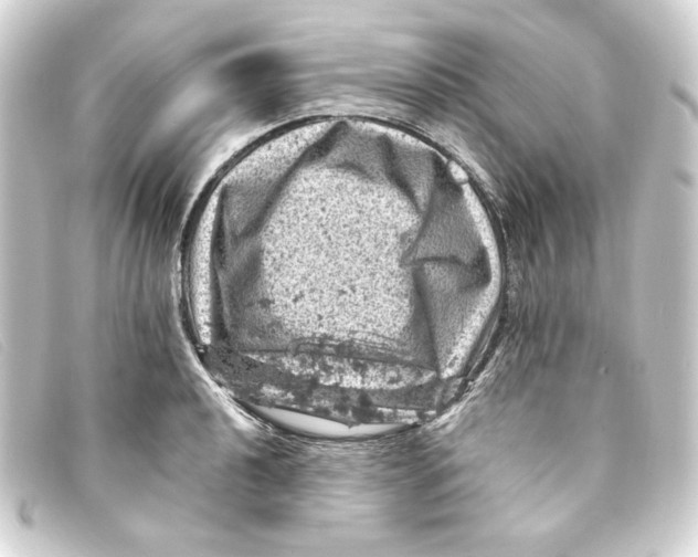 X0000093171040200710241036