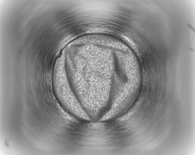 X0000093171041200710241036