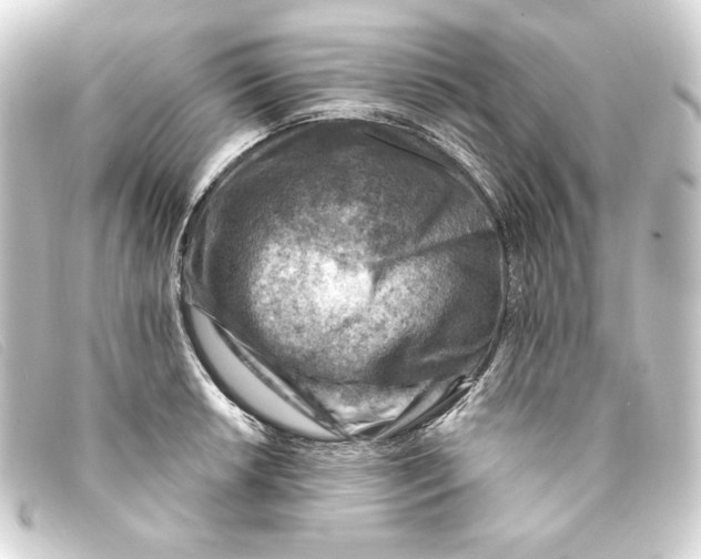 X0000093171042200710241036