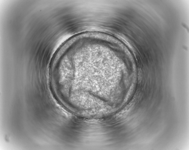 X0000093171048200710241036