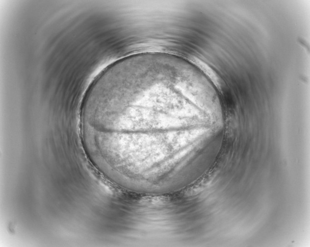 X0000093171051200710241036