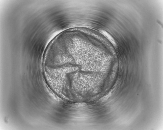 X0000093171052200710241036