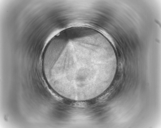 X0000093171053200710241036