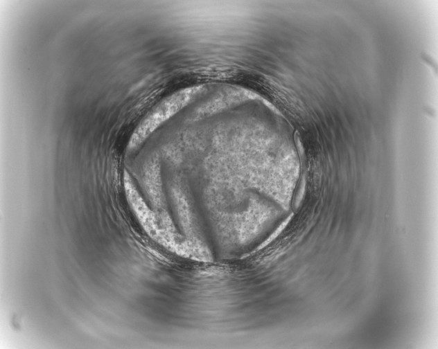 X0000093171058200710241035