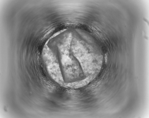 X0000093171059200710241035