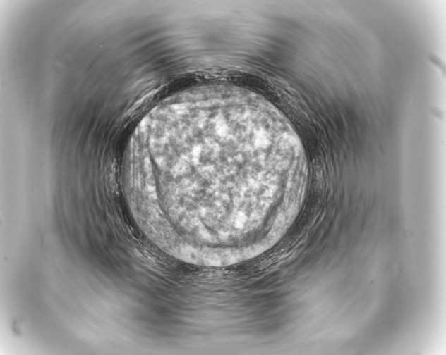 X0000093171060200710241035