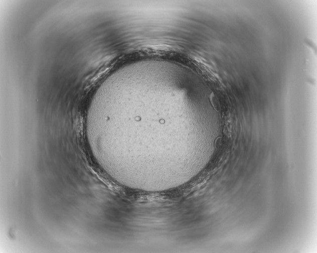 X0000093171061200710241035