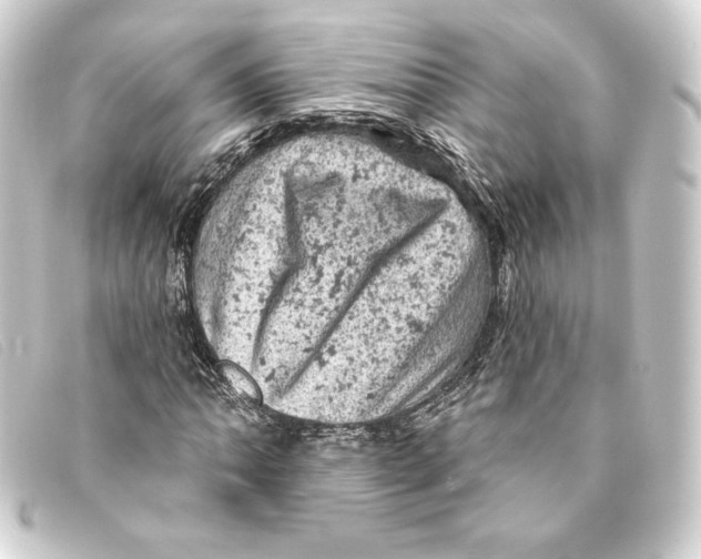 X0000093171062200710241035