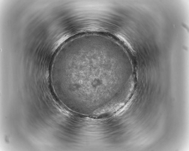 X0000093171065200710241035