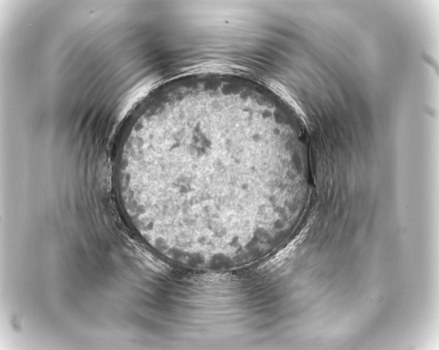 X0000093171067200710241035