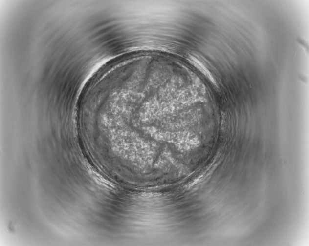 X0000093171068200710241035