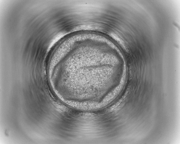 X0000093171070200710241035