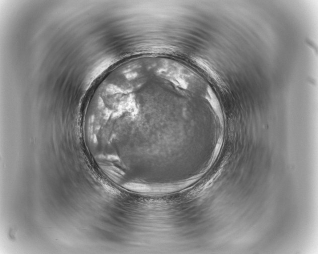 X0000093171071200710241035