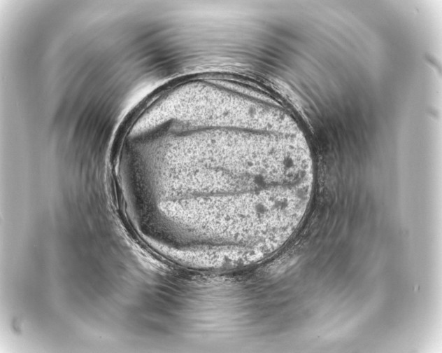 X0000093171072200710241035