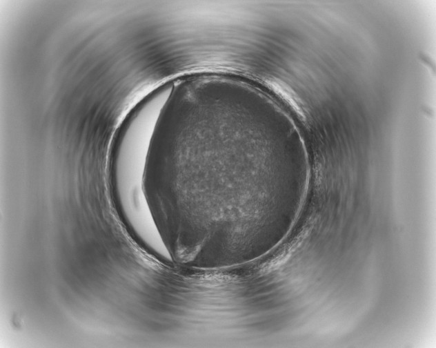 X0000093171077200710241035