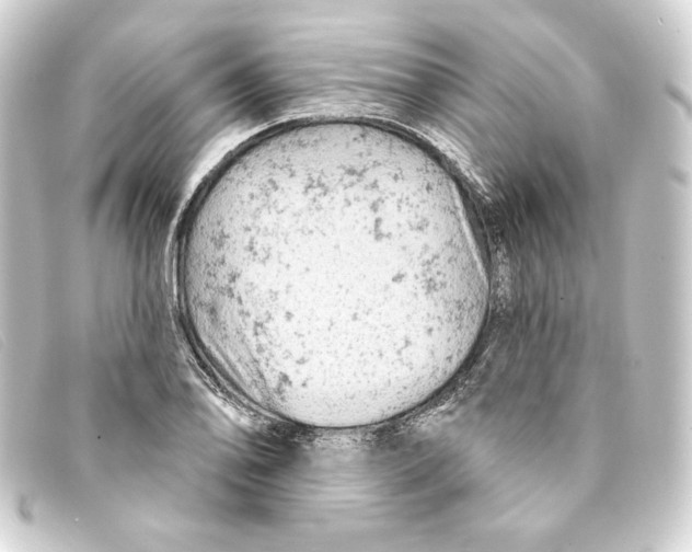 X0000093171078200710241035