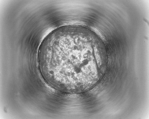 X0000093171079200710241035