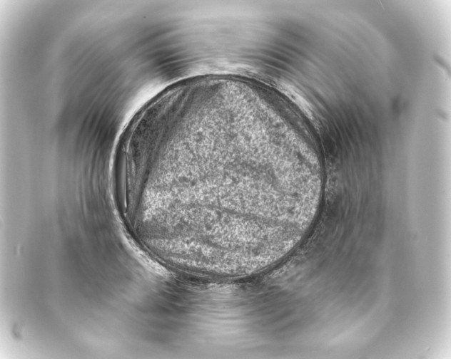 X0000093171080200710241035