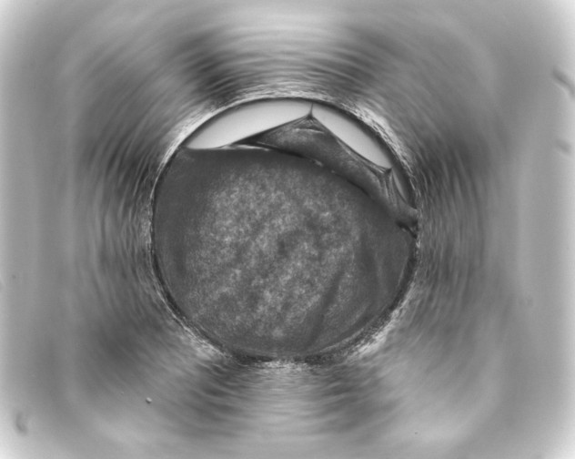 X0000093171081200710241035