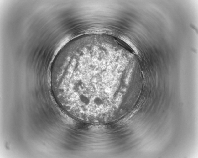 X0000093171083200710241035