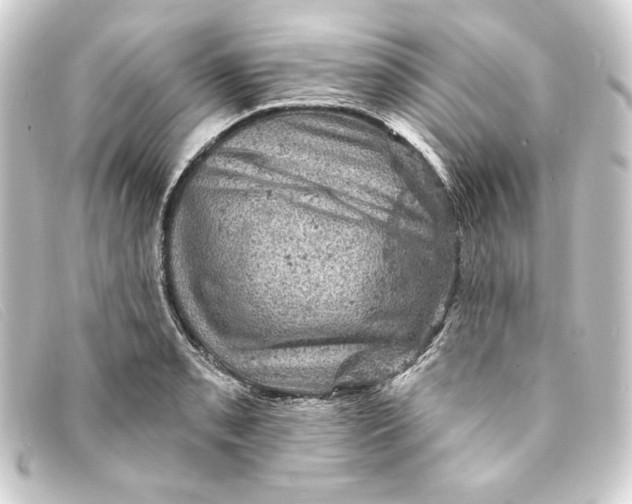 X0000093171085200710241035