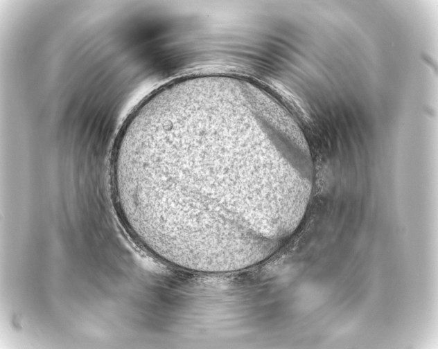 X0000093171086200710241035