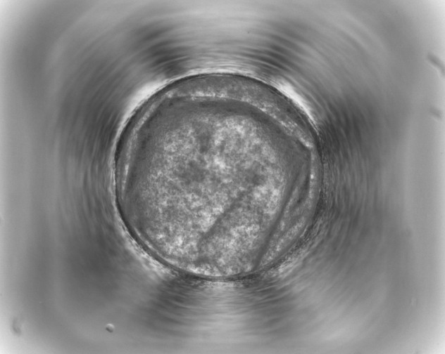 X0000093171088200710241035