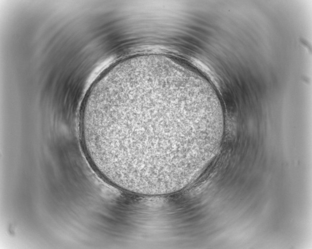 X0000093171090200710241035