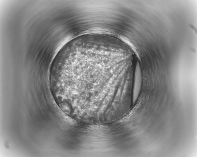 X0000093171091200710241035