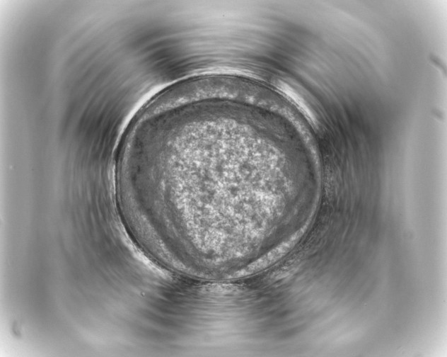 X0000093171092200710241035