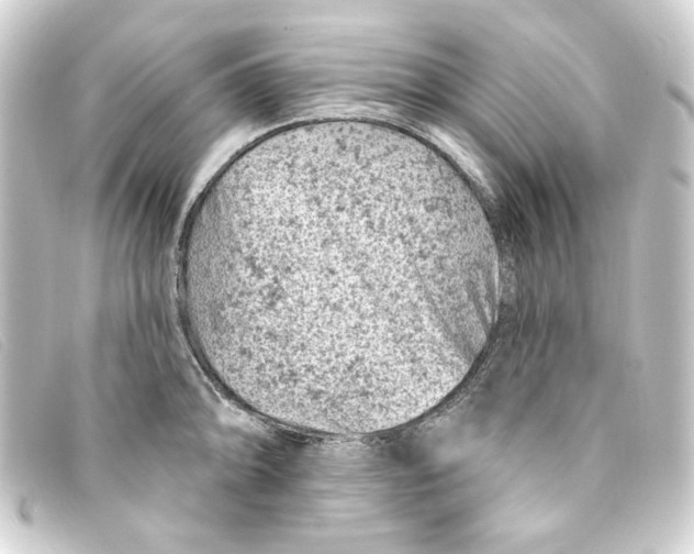 X0000093171094200710241035