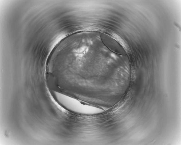 X0000093171095200710241035