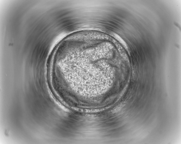 X0000093171096200710241035