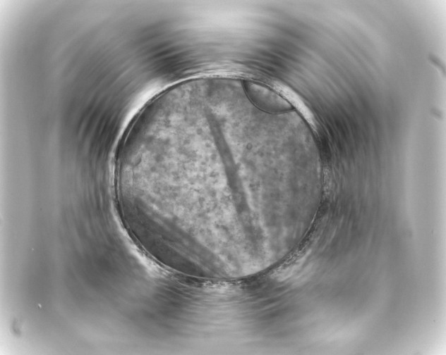 X0000093171099200710241035