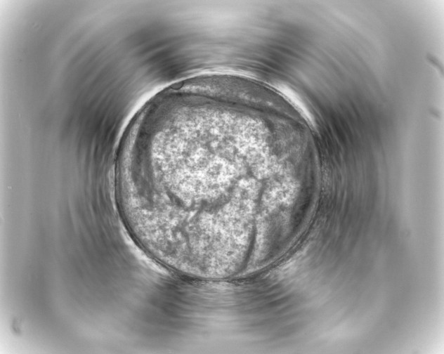 X0000093171100200710241035