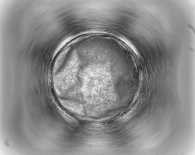 X0000093171101200710241035